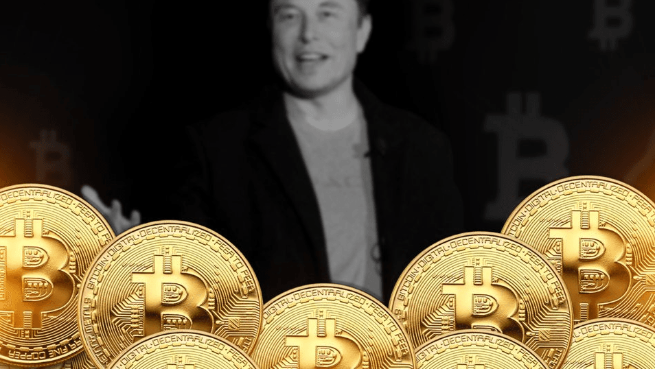 why-is-bitcoin-going-down-elon-musk-news-didnt-help-btc-price-analysts-predict-drop-to-97k