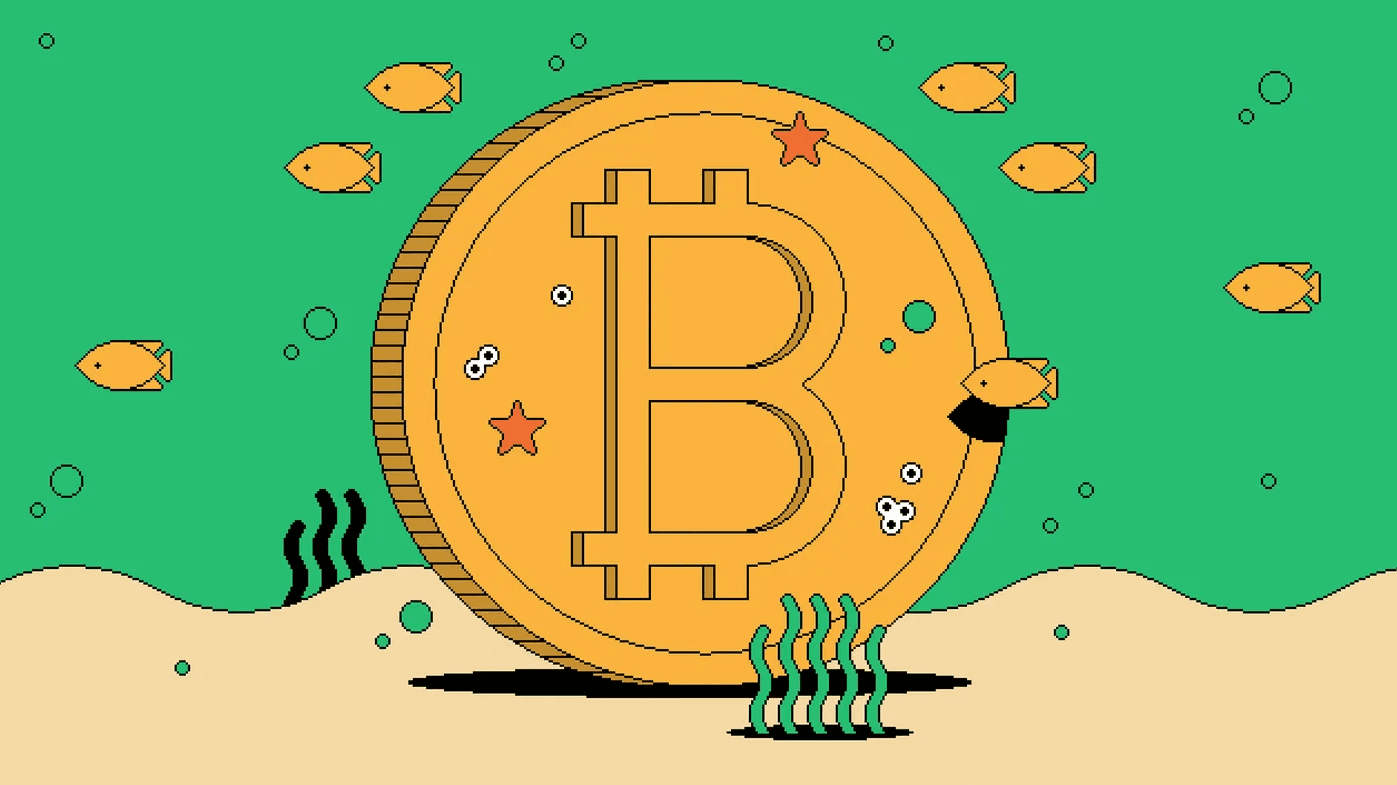 crypto-trading-signals-explained-a-comprehensive-guide-for-smarter-trading